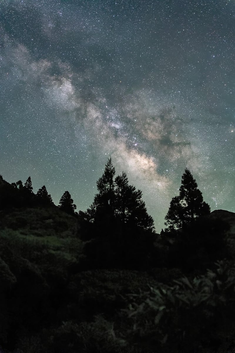 Milky Way in the night sky